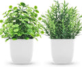 2 Pack Fake Plants Small Artificial Greenery Faux Indoor for Green