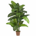 5' Artificial Dieffenbachia Plant (Real Touch)